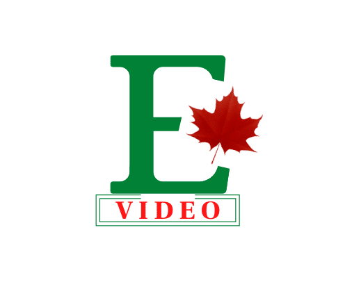Single letter logo